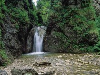 /album/fotogaleria/d-diery-jpg-jpg/